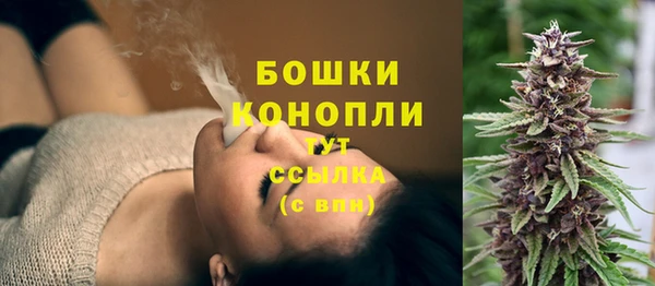 дурь Сатка