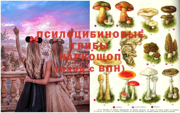 марки lsd Верея