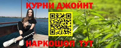 прущие грибы Заводоуковск
